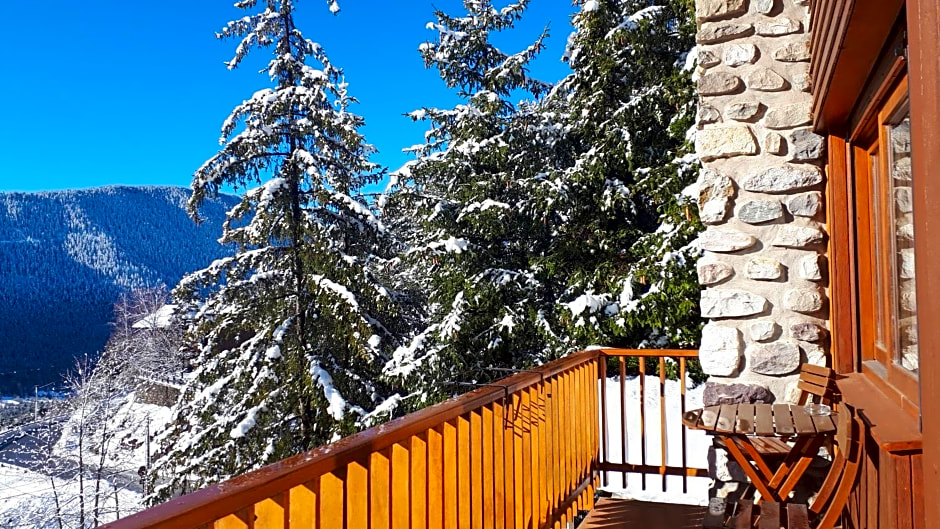 Chambres d'hôtes Le Grand Chalet