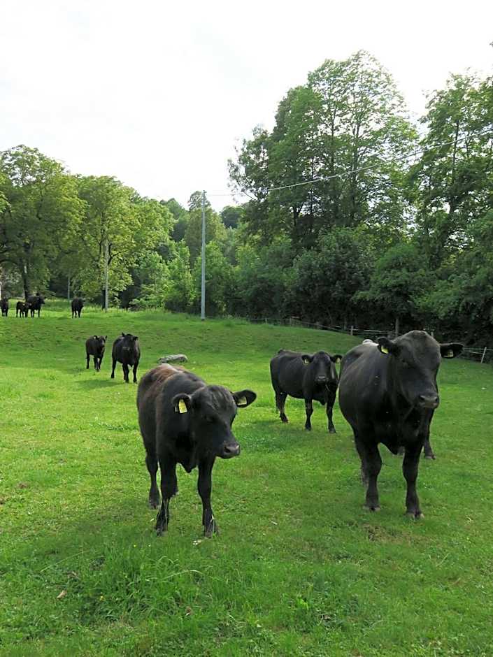 Hotel Villa Simplicitas