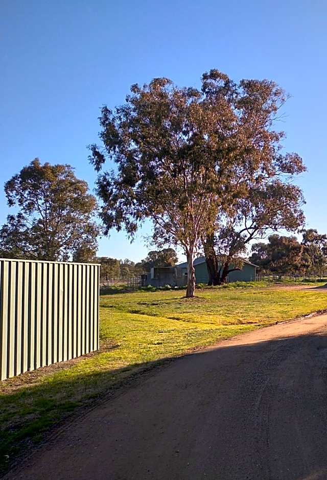 Wagga Gardens Motel