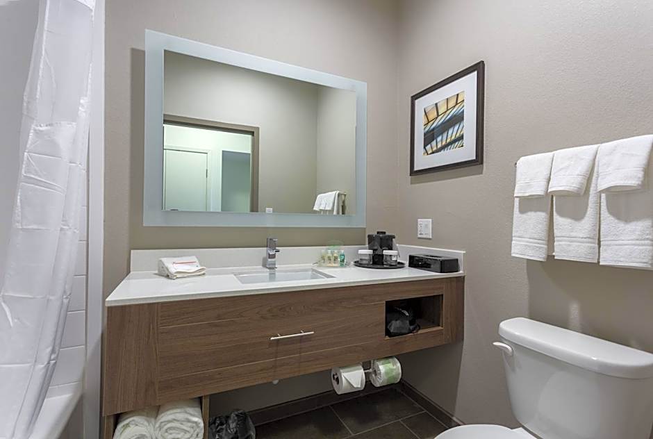 Holiday Inn San Marcos By IHG