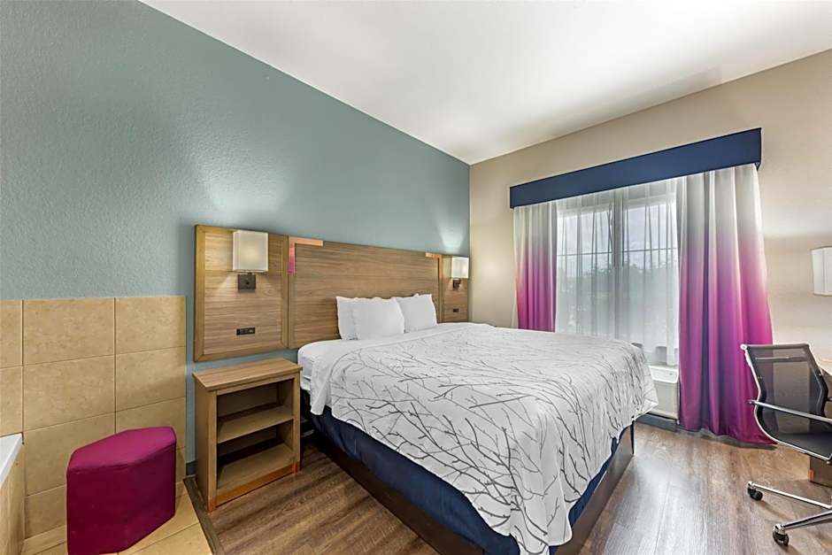 Best Western Plus San Antonio East Inn & Suites