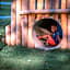 Camping Wedderbergen