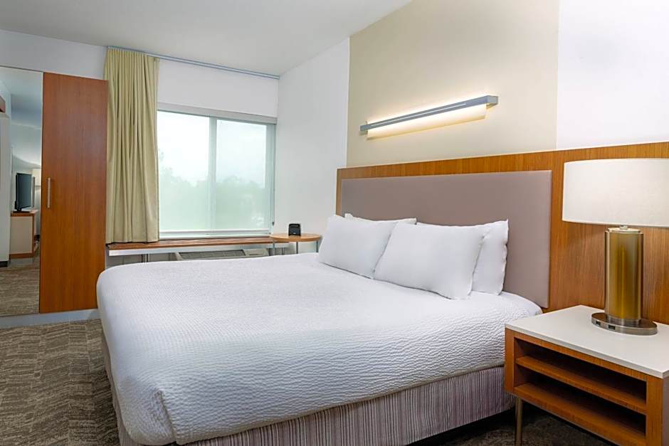 SpringHill Suites by Marriott Tallahassee Central