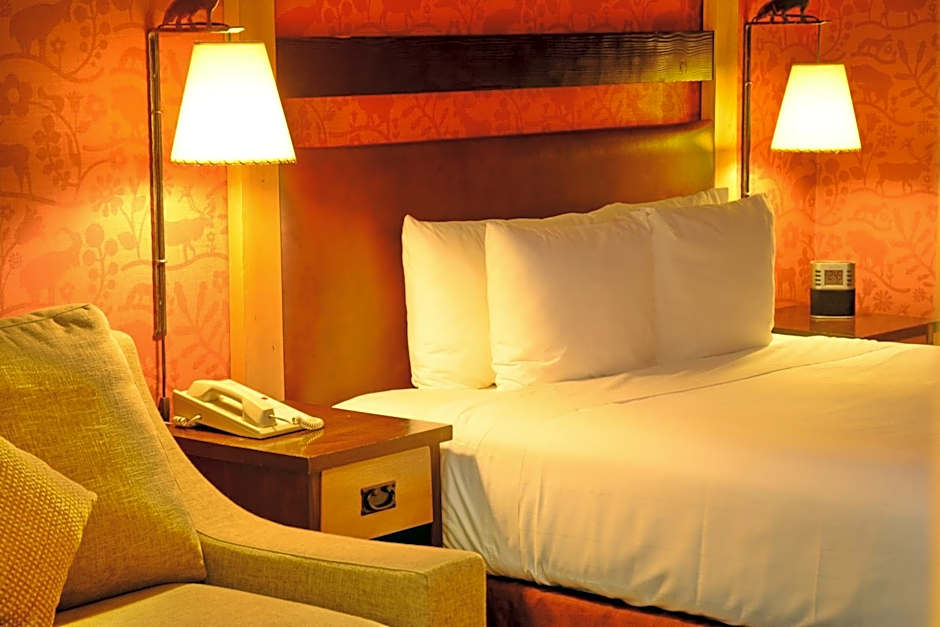 Fox Hotel And Suites