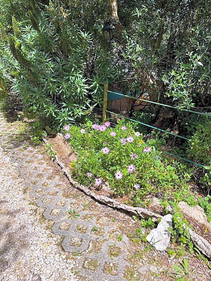 Quinta Laranja - Turismo Rural -