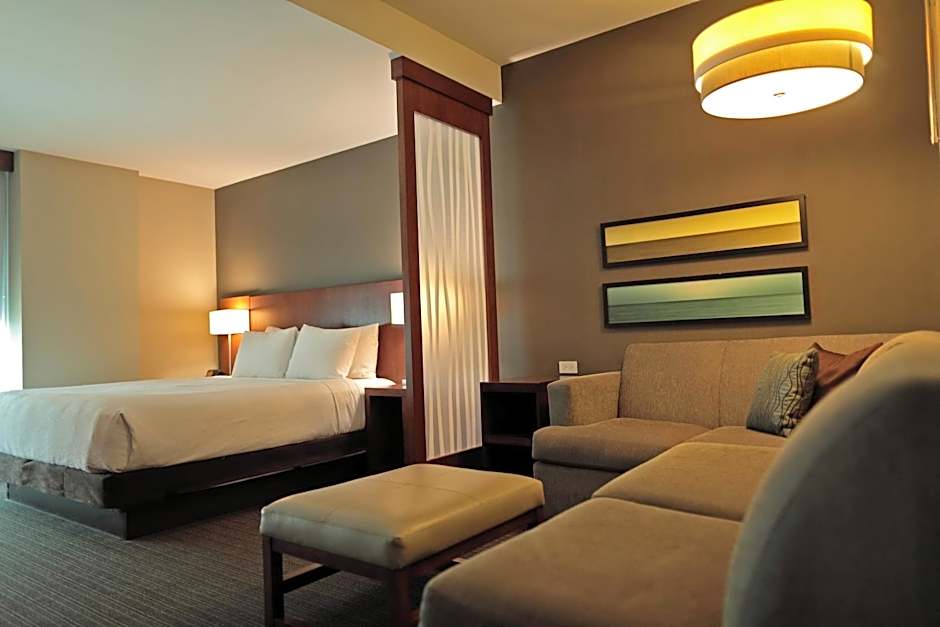 Hotel Dann Carlton Marinn Place Panama Financial District
