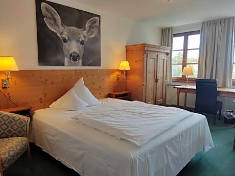 Comfort Single Room