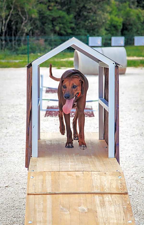 Camping Homes Mon Perin