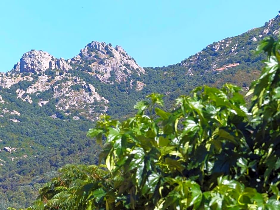 casa-tena-Sorède