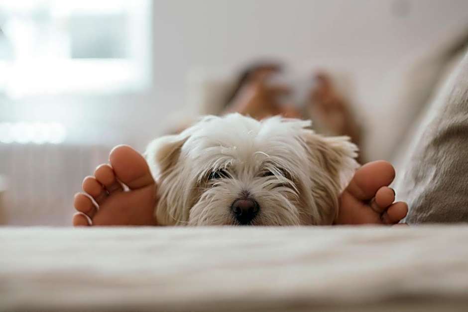 Candlewood Suites Lawrenceville - Princeton by IHG