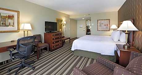 King Room with King Bed - Non-Smoking