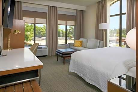 King Room with Sofa Bed