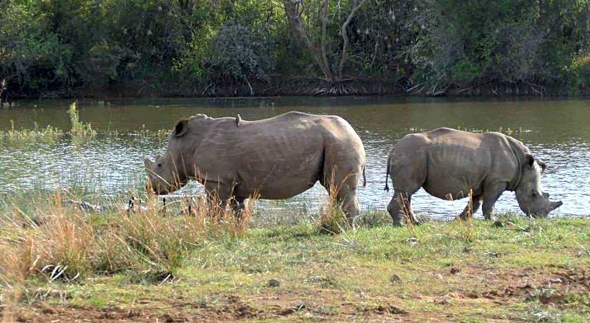 Morokolo Safari Lodge