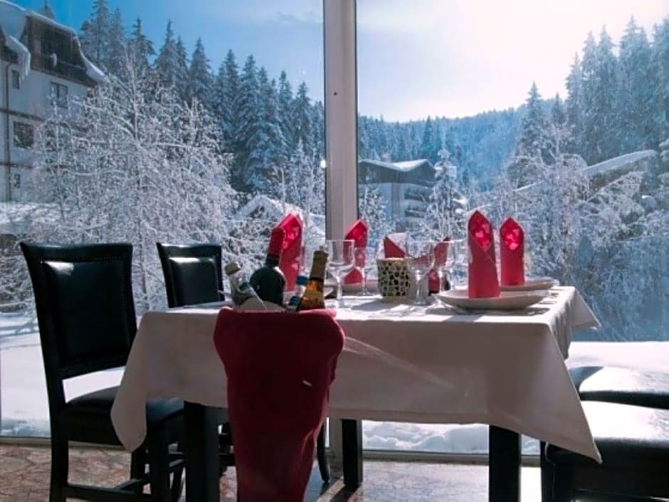 Atrium Hotel Mountain View Predeal