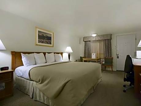 1 King Bed Nonsmoking