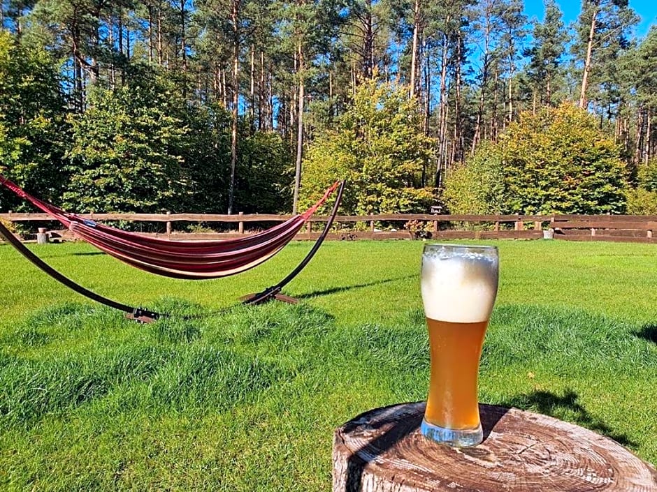 Domek z basenem nad jeziorem Gwiazdy, Ostoja Bukowo, Kaszuby