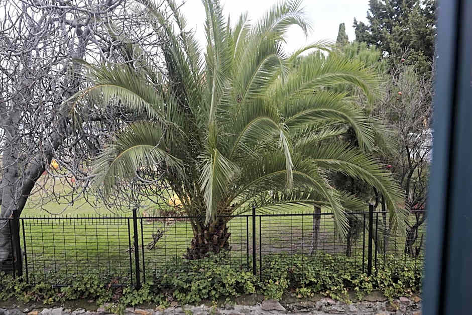 Ferahi Evler Ayvalık