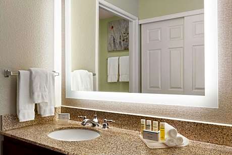 1 King Bed Studio Suite