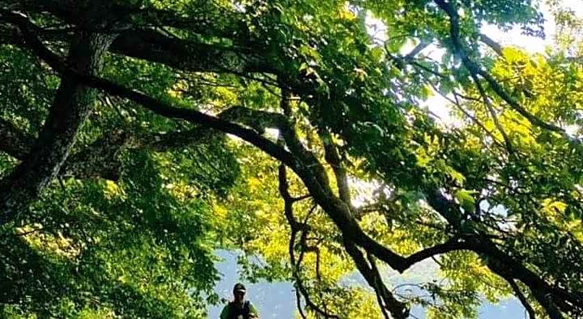 Kizuna Lodge & BBQ Centre