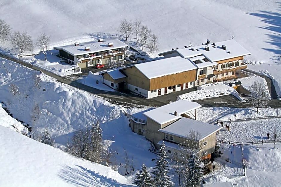 Bauernhof Haflingertränke