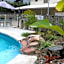 Noosa River Palms