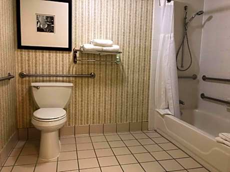 1 King Mobility Accessible W/ Bathtub