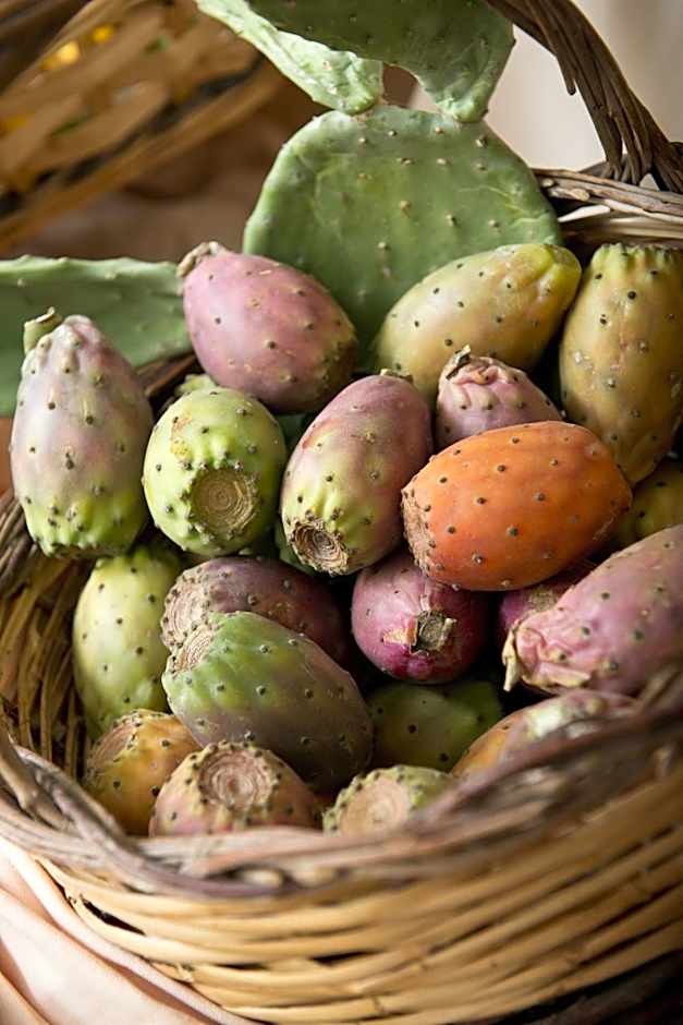 Park Hotel Sant'Elia