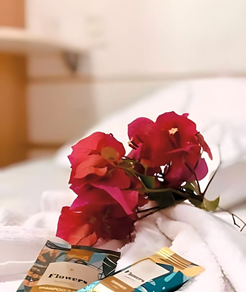 Bouganville Studio Brasília.