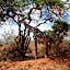 Tausa Tsavo Eco Lodge