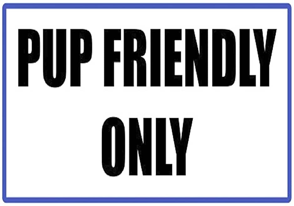 The Castle at Swan Lake