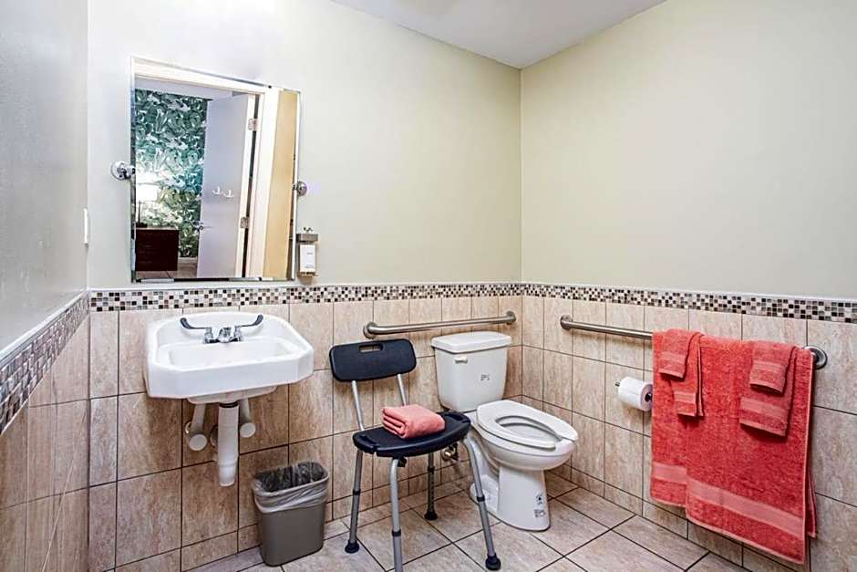 The Local - St. Augustine