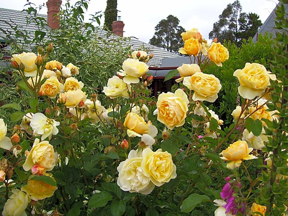 Donalea Bed & Breakfast