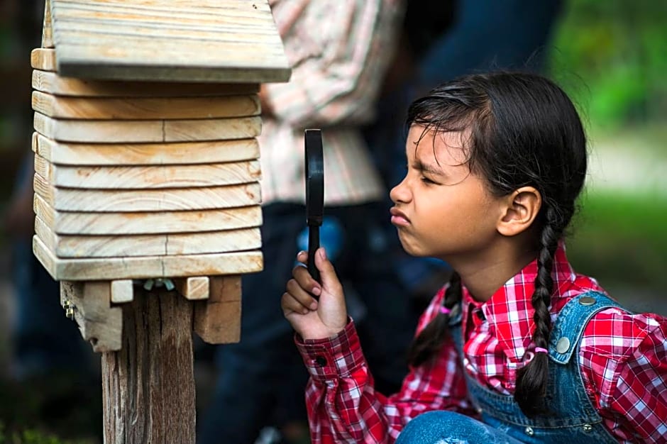 Green Me Organic Farm Khao Yai กรีนมี ออแกนิคฟาร์ม เขาใหญ่