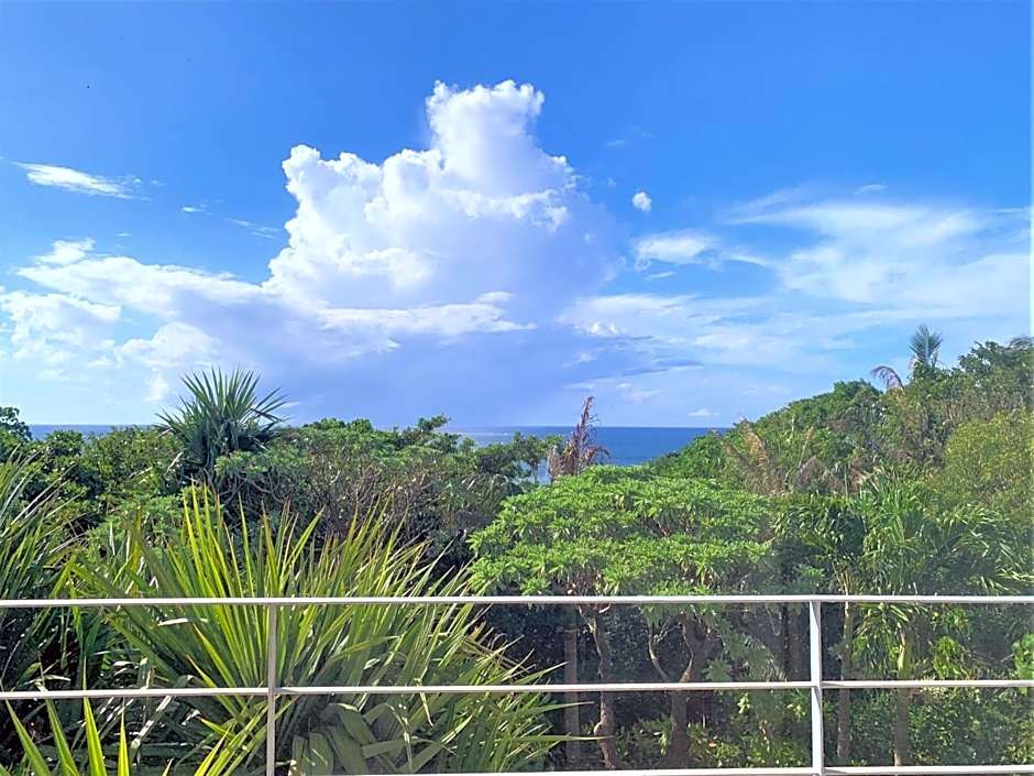 Blue cave Blue in Green - Vacation STAY 31651v