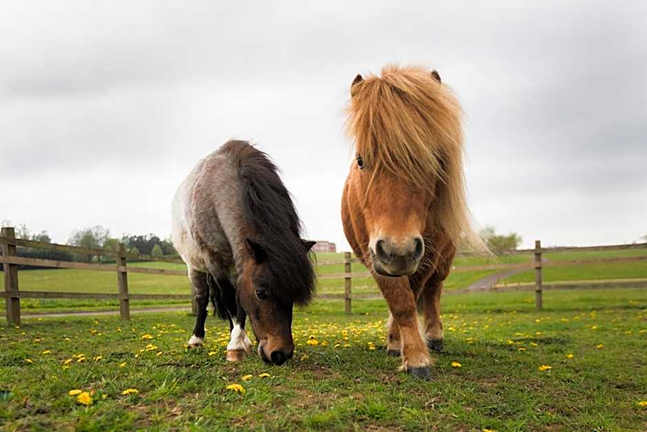 Four Seasons Hotel Hampshire