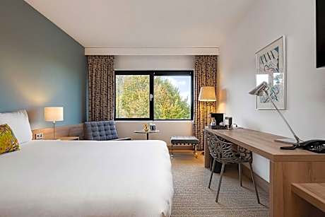 Superior Single Room