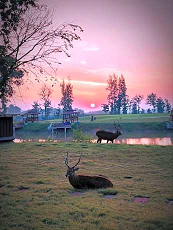 McQuillan's Homestay and Resort