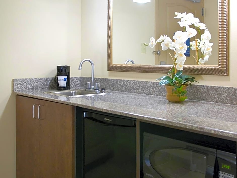 Hampton Inn By Hilton And Suites Savannah-Airport