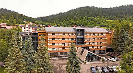 Hotel Bakuriani Inn