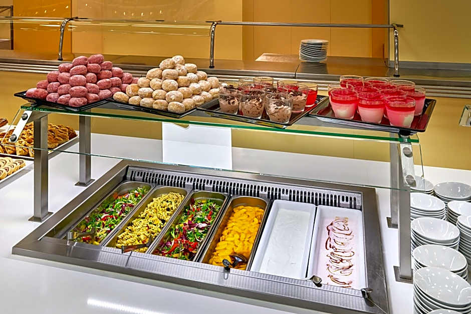 Congress & Wellness Hotel Olsanka