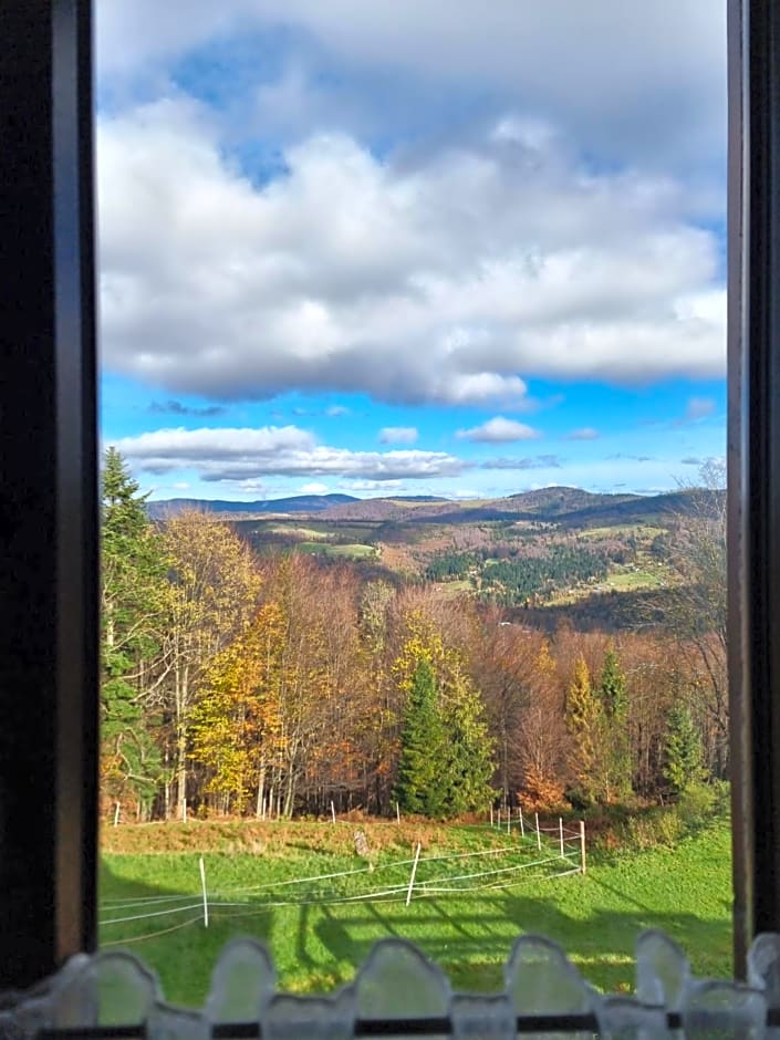 Swoboda na szczycie góry