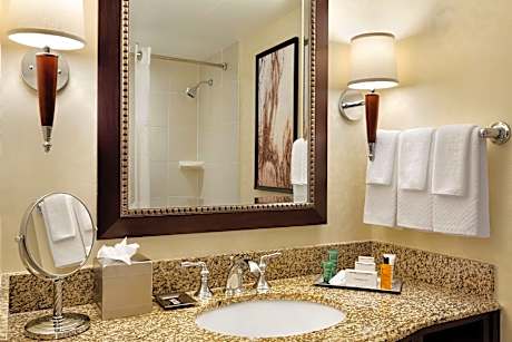 1 Queen Mobility Accessible With Bathtub