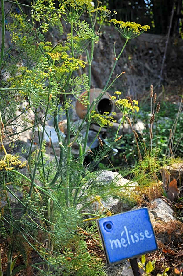Auberge de la fontaine aux loups