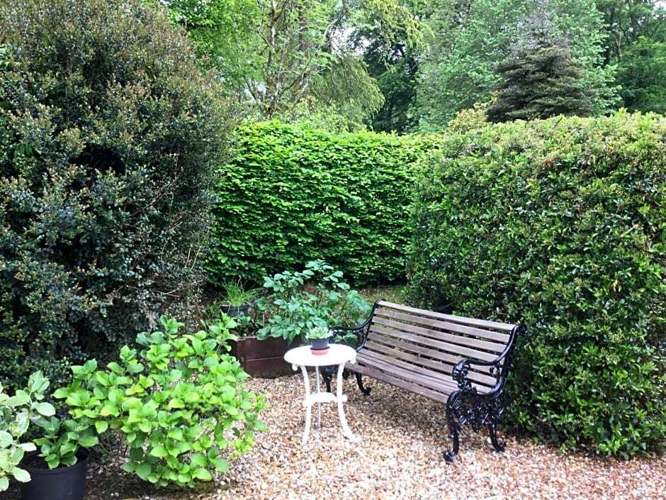 Dwynant - A Room with a View