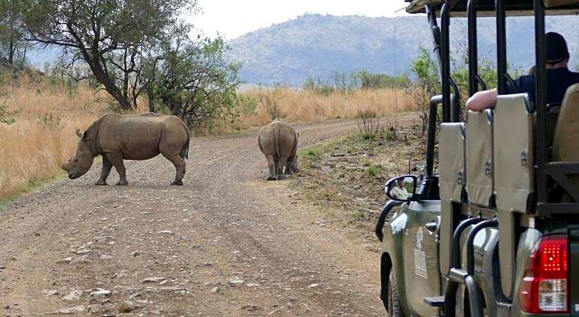 Morokolo Safari Lodge