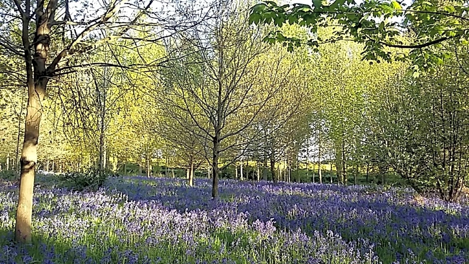 Hollicarrs - Sunflower Lodge