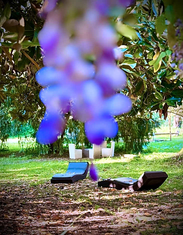 Villa La Dogana B&B di Charme - Historic Villa with a beautiful garden - private parking