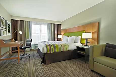 King Guest Room - Non-Smoking