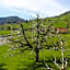 Landgasthof Grossteil