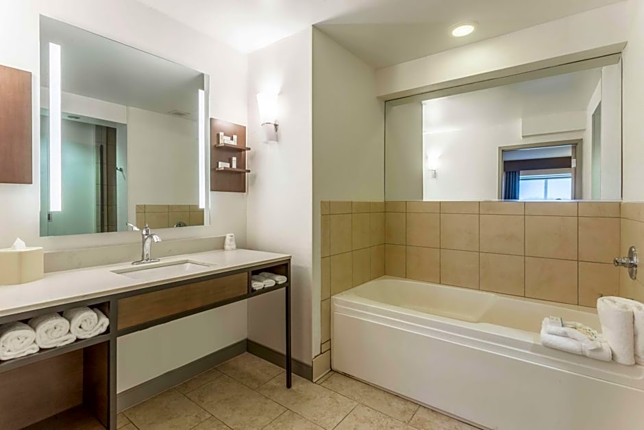 Hilton Garden Inn Tinley Park